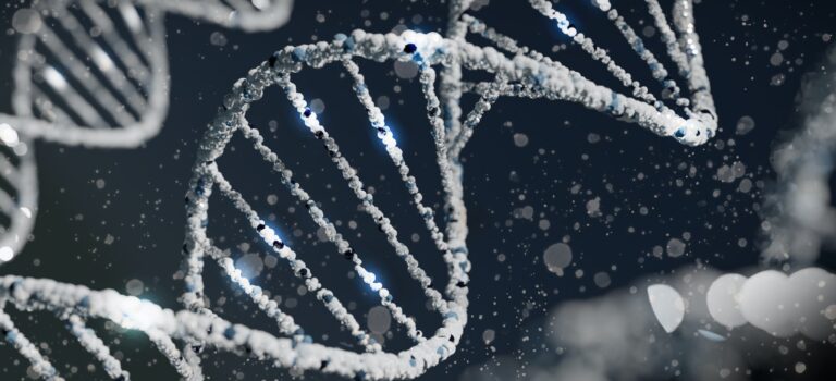 Structure de l'ADN pour une recherche de paternité